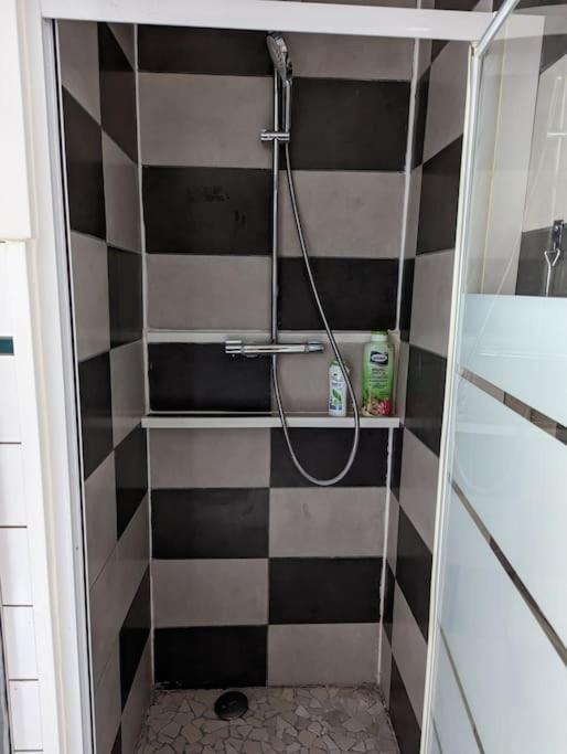 Appartement Plein Centre Saint Die Des Vosges מראה חיצוני תמונה